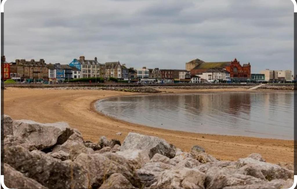 Morecambe Other | Shear water