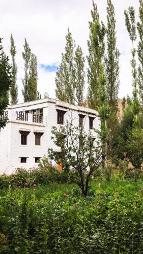 She House | Shel Heritage Home