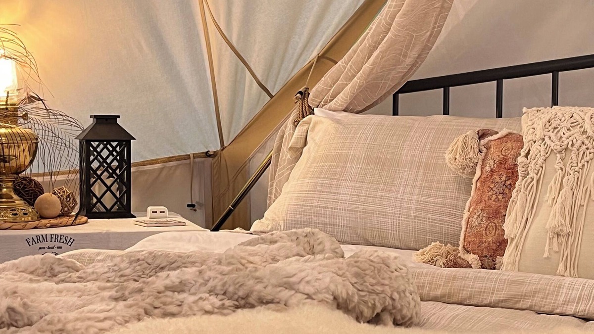 Mount Jackson Apartment | Shenandoah Valley Glamping. Amazing views. Farm
