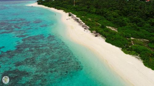 Feridhoo House | Shifa Lodge Maldives