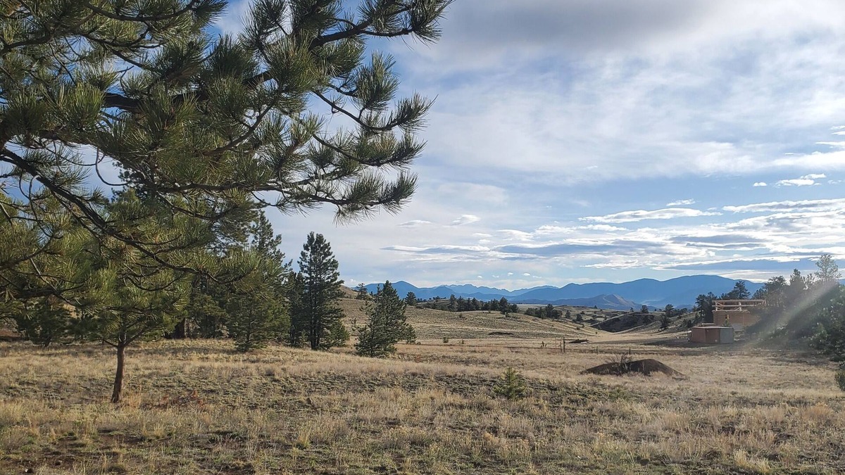 Park County Cabin | Shipping Container Cabin with room for Horses and ATVs/RVs near BLM