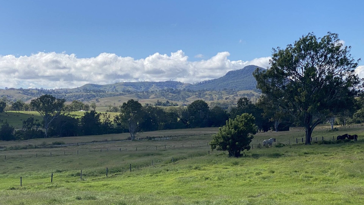 Maroon Other | Shire horse and Clydesdale farmstay