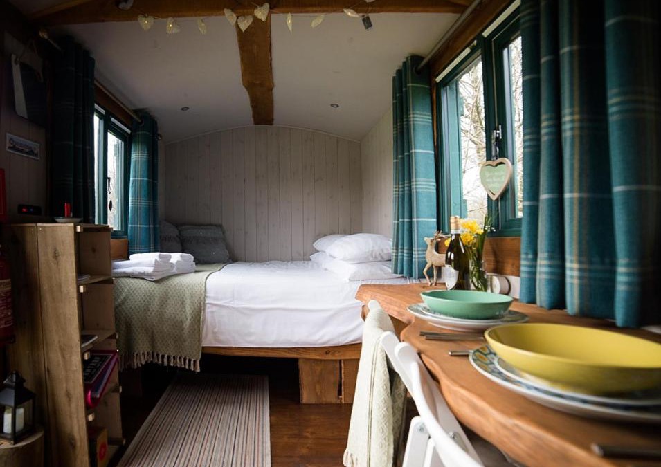 Bethania Other | Shire the Shepherd's Hut at Pentref Luxury Camping