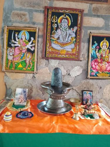 San Carlos Cabin | Shiva's Temple