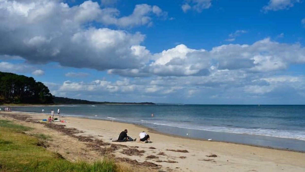 Shoreham House | Shoreham BEACH/TREE HOUSE