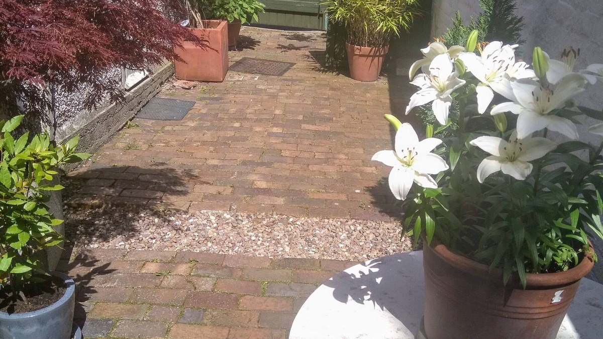 South Cliff Bed & Breakfast | Shorehouse B&B