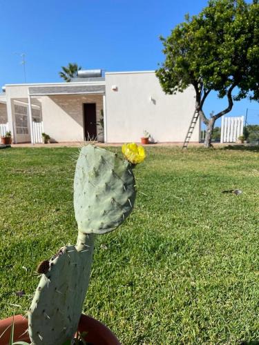Brucoli House | Sicilia holiday Etna house