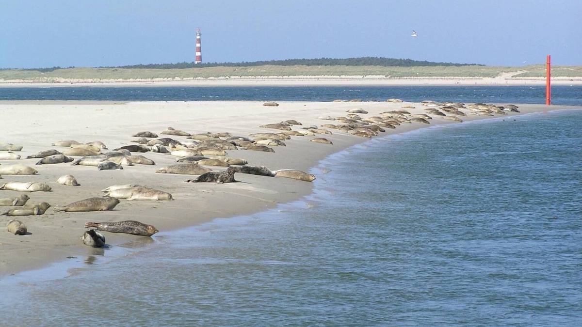 Hollum Hotel | Sier aan Zee