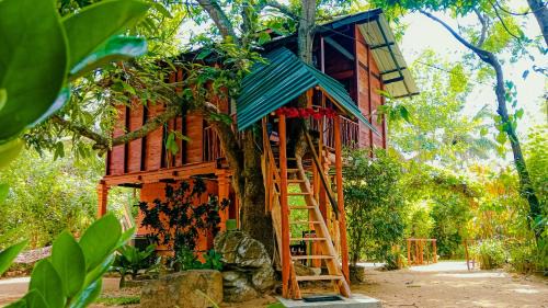 Sigiriya Bed & Breakfast | Sigiri Sky Home & TreeHouse