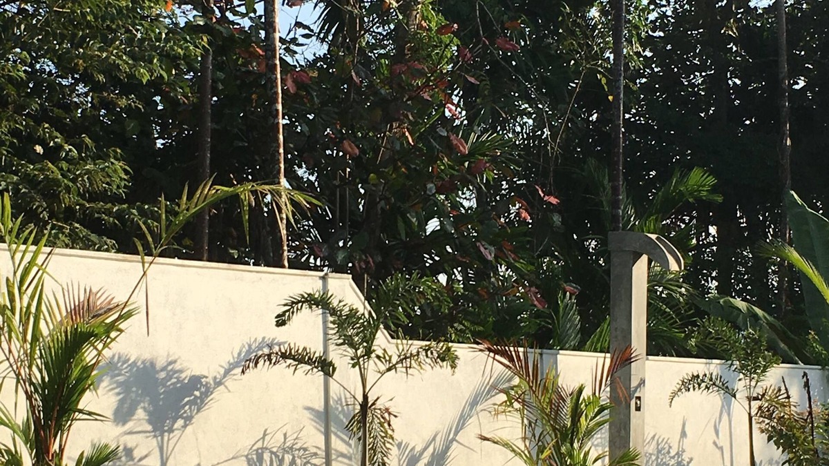 Thiranagama Villa | Silence Garden