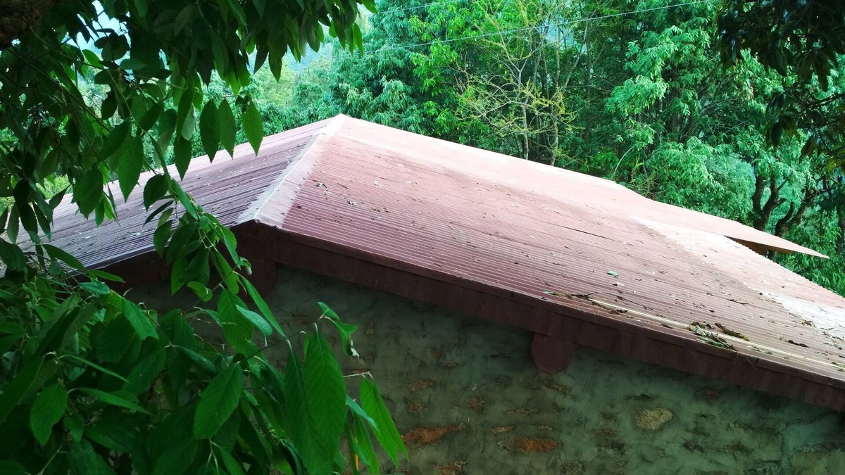 Kaul Other | Silent Valley- Alchauna house along river Kalsa O