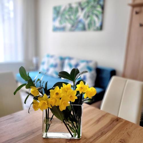 Eger Apartment | Silver Lodge Apartment 1 Eger