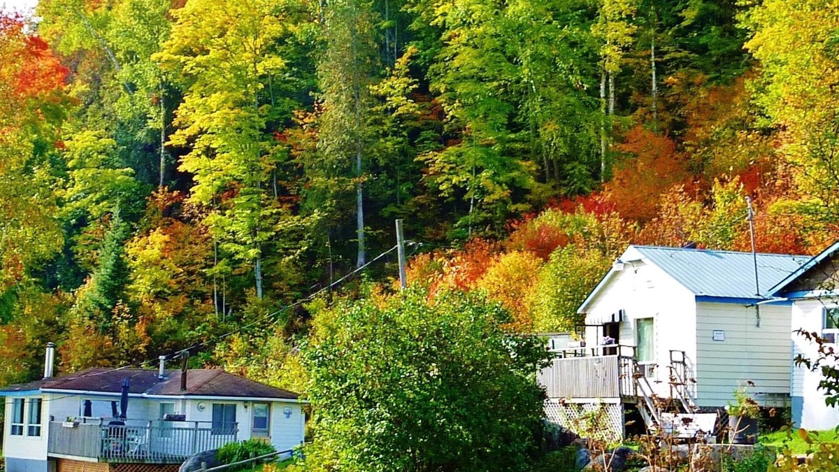 Harcourt Cottage | Silver Springs Cottage Resort