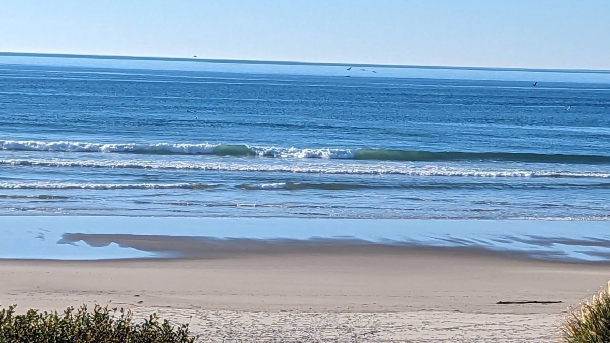 Yachats Hotel | Silver Surf Motel
