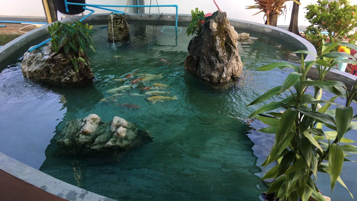 Kantang Hotel | Similan Resort