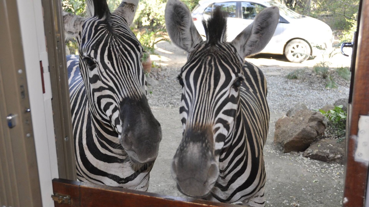 Marloth Park House | Simple Solar system in home with 3 bedroom, self catering home . Free WiFi.