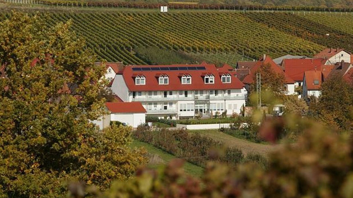 Pleisweiler-Oberhofen House | Single room shower / WC Cat 2 (without balcony) - Landhotel Hauer