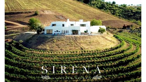 Paso Robles Bed & Breakfast | Sirena Vineyard Resort