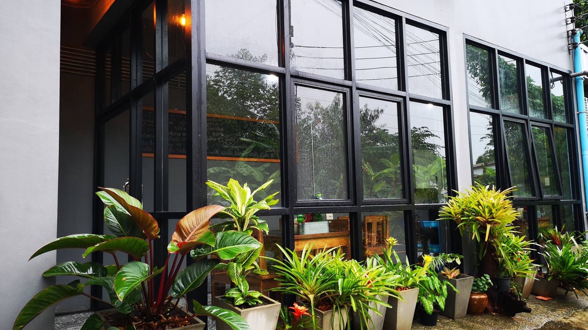 Makham Tia House | Siri Guesthouse at Suratthani