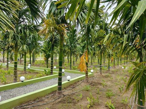Coimbatore House | Siruvani Farm Stay Near Isha Yoga Adiyogi