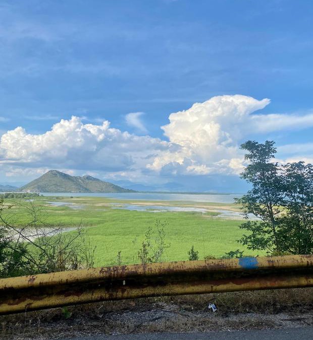 Karuc Apartment | Skadar Lake Apartment Nikola I