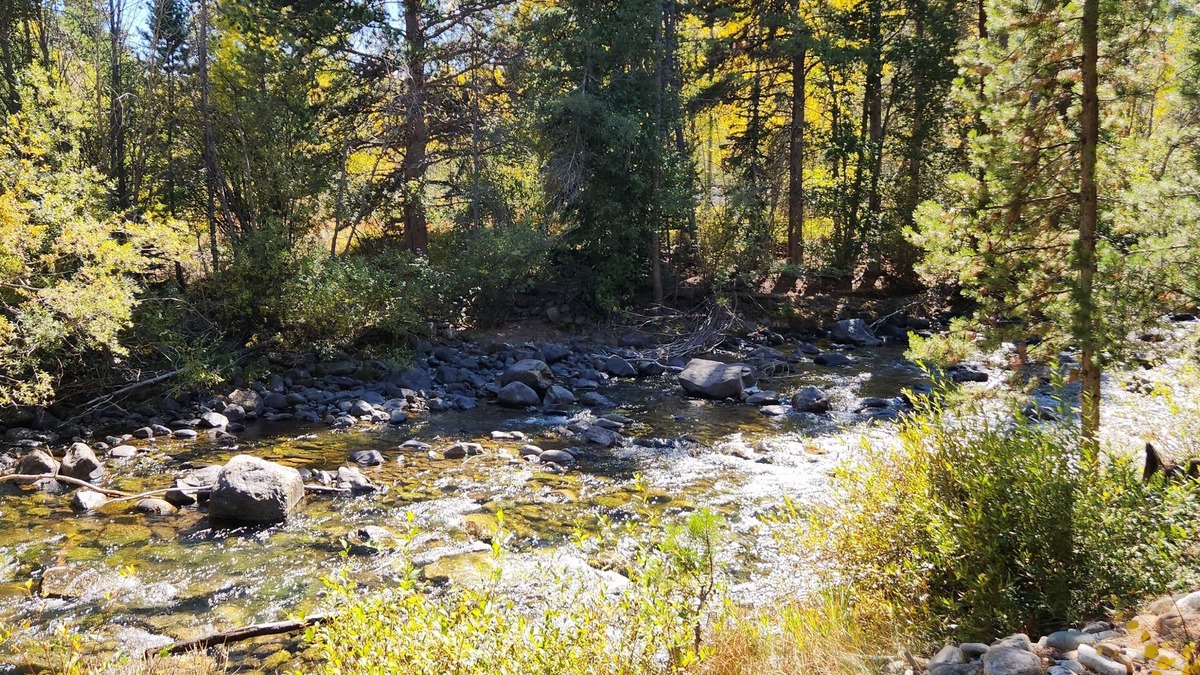 Frisco Villa | Ski, Hike, creek and steps from main st , bus to breck or copper 2 blocks away.