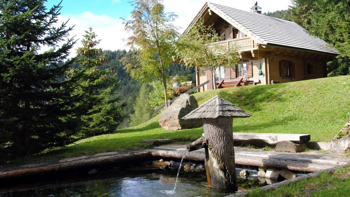Wolfsberg Apartment | Ski hut Almhütte Weber