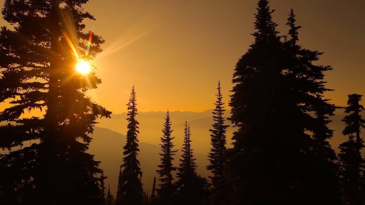 Nordic Estates House | Ski in ski out, beautiful views in beautiful quiet neighborhood