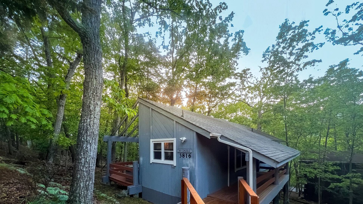 Massanutten Cabin | SkiTop Treehouse BNB | Hot Tub & walk to slopes!