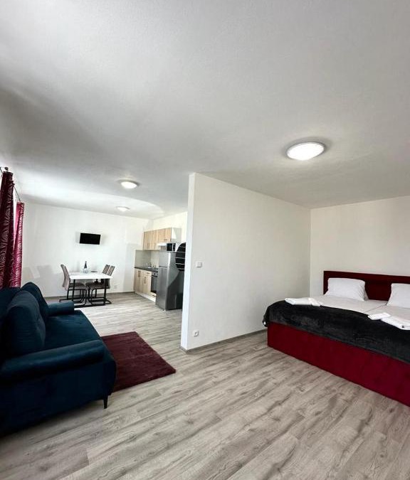 Plzen Apartment | Sky Apartments 501