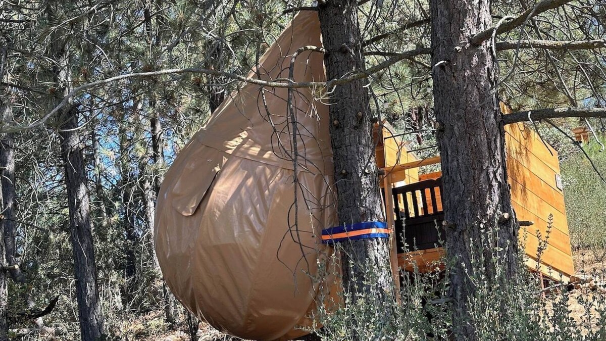 Dunlap Apartment | Sky Pod/Tree Tent#1
