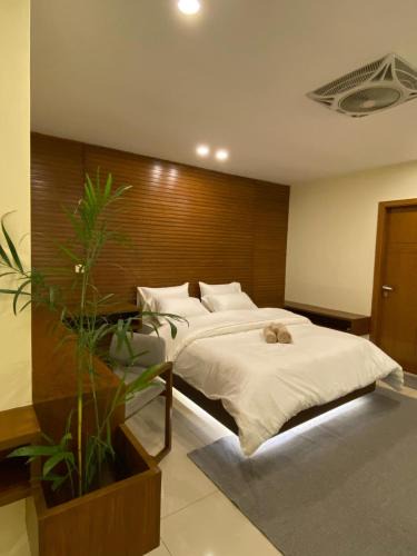 Islamabad Apartment | Skyluxe Designer Studio with rooftop Pool & Self Check In