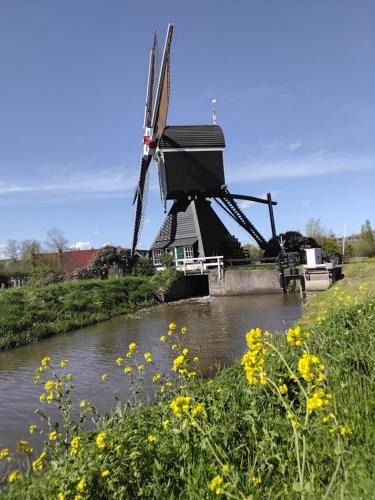 Leerdam House | Slapen bij de molenaar