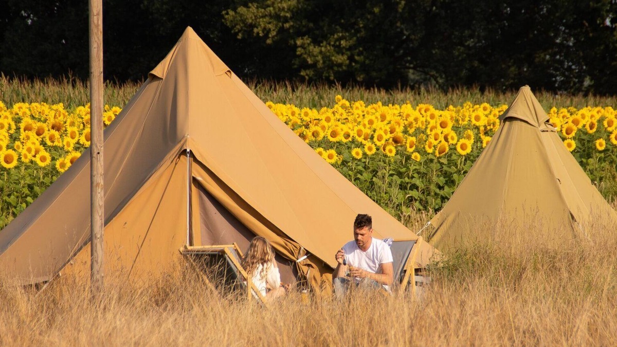 Notter Cabin | Sleep in Mölkes backyard! Enjoy a wonderful festival atmosphere and make use of all our facilities!
