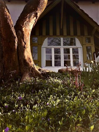Stara Kamienica Cabin | Slow life Karkonosze