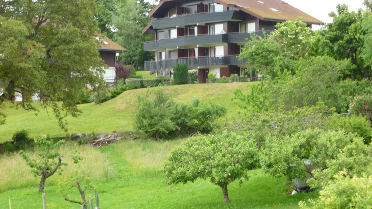 Thollon-les-Memises Apartment | Small cocoon between Lake and Mountains
