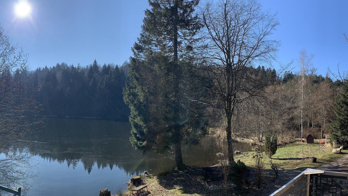 Rupt-sur-Moselle Ski Chalet | Small cottage in the heart of nature