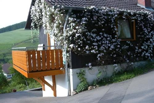 Schuttertal House | Small holiday cottage Ivy