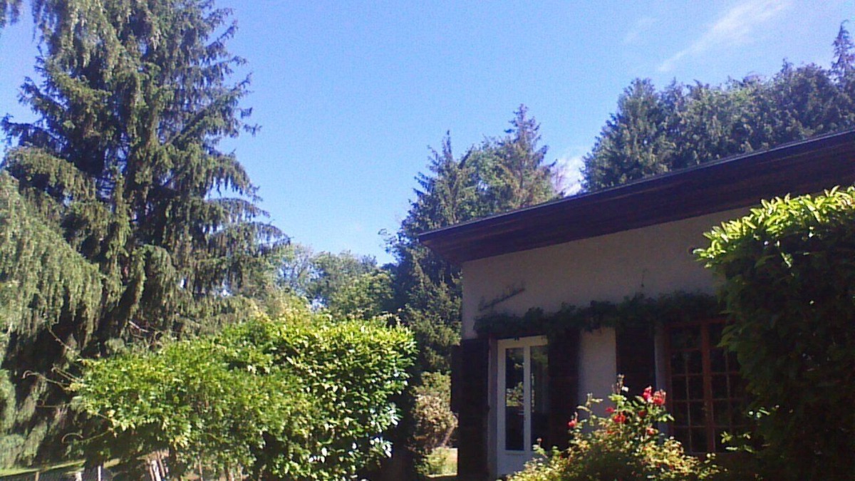 Saint-Julien-le-Petit House | Small house with large plot 1/2 Hectares