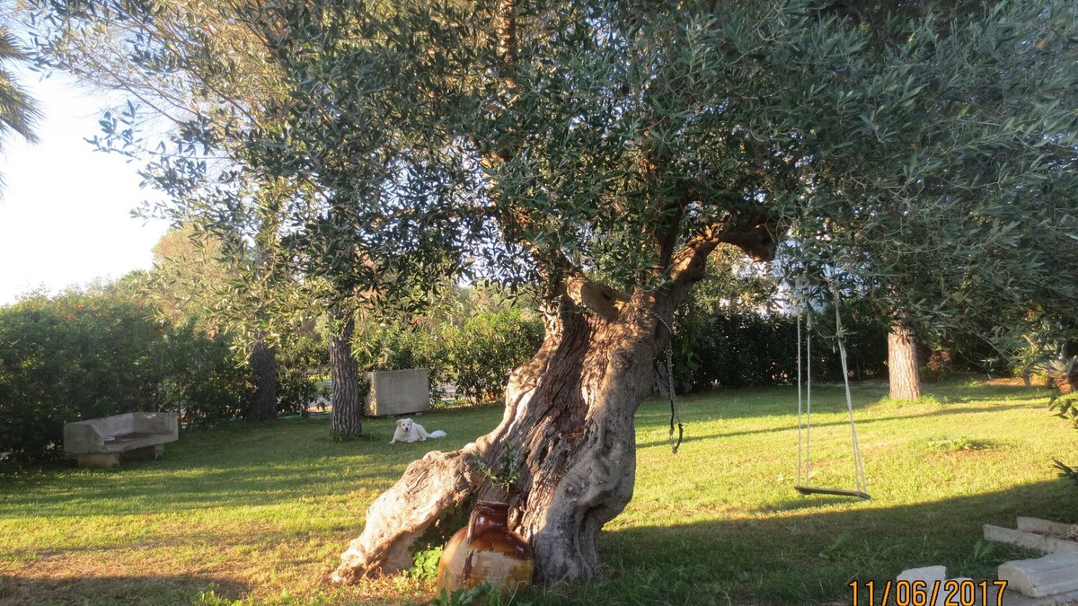 Lequile House | Small house in the countryside, the small "Cornula", Salento