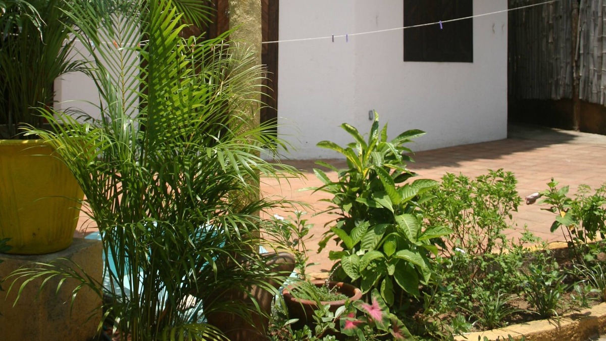Mazunte House | Small house with sea views - Mazunte