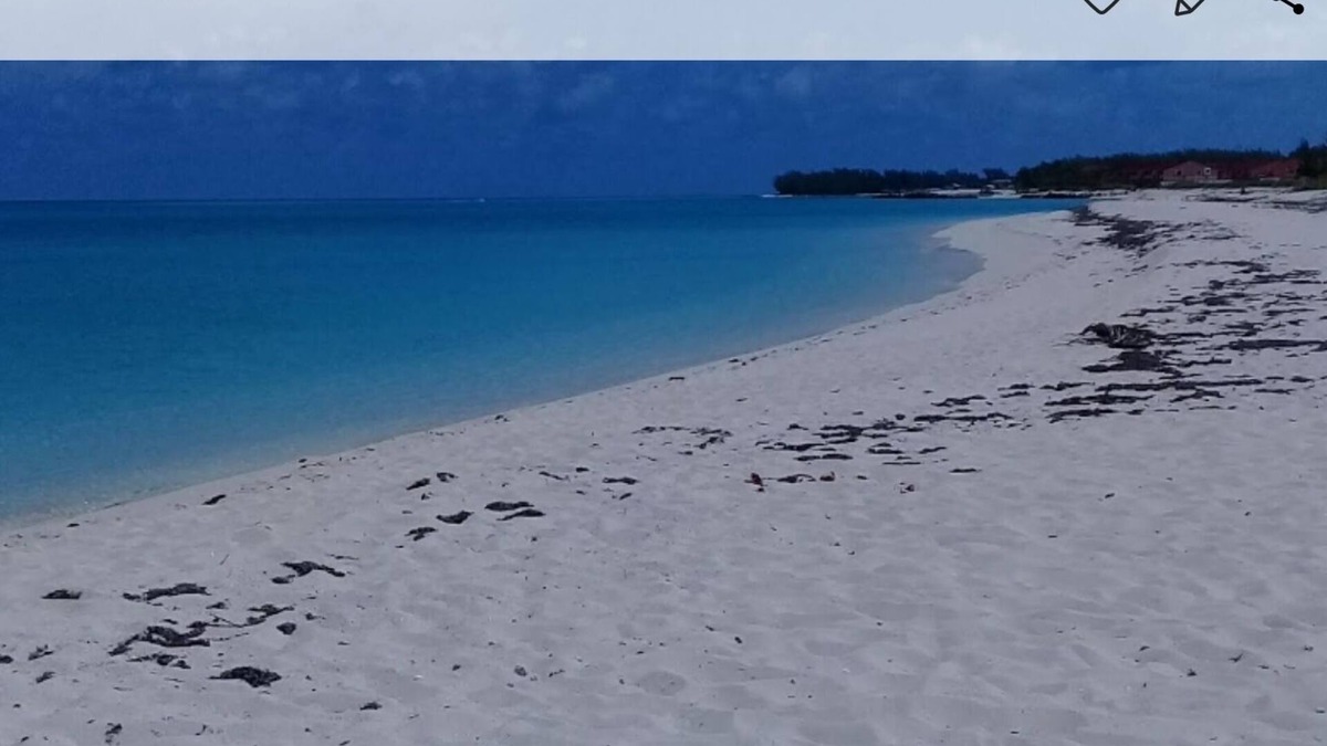 South Bimini Apartment | Small's Cozy Rest 5, two bedroom with dock
