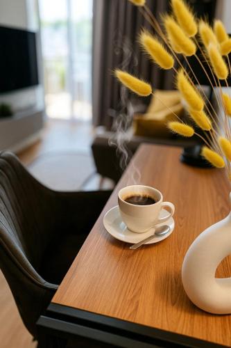 Kielce Apartment | Smart Apart 62, City Center Kielce, main Square, FV, Targi, Sienkiewicza, Centrum