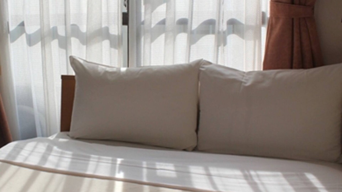 Nishiikebukuro Hotel | Smoking Semidouble room Standard plan Room o/Toshima-ku Tokyo