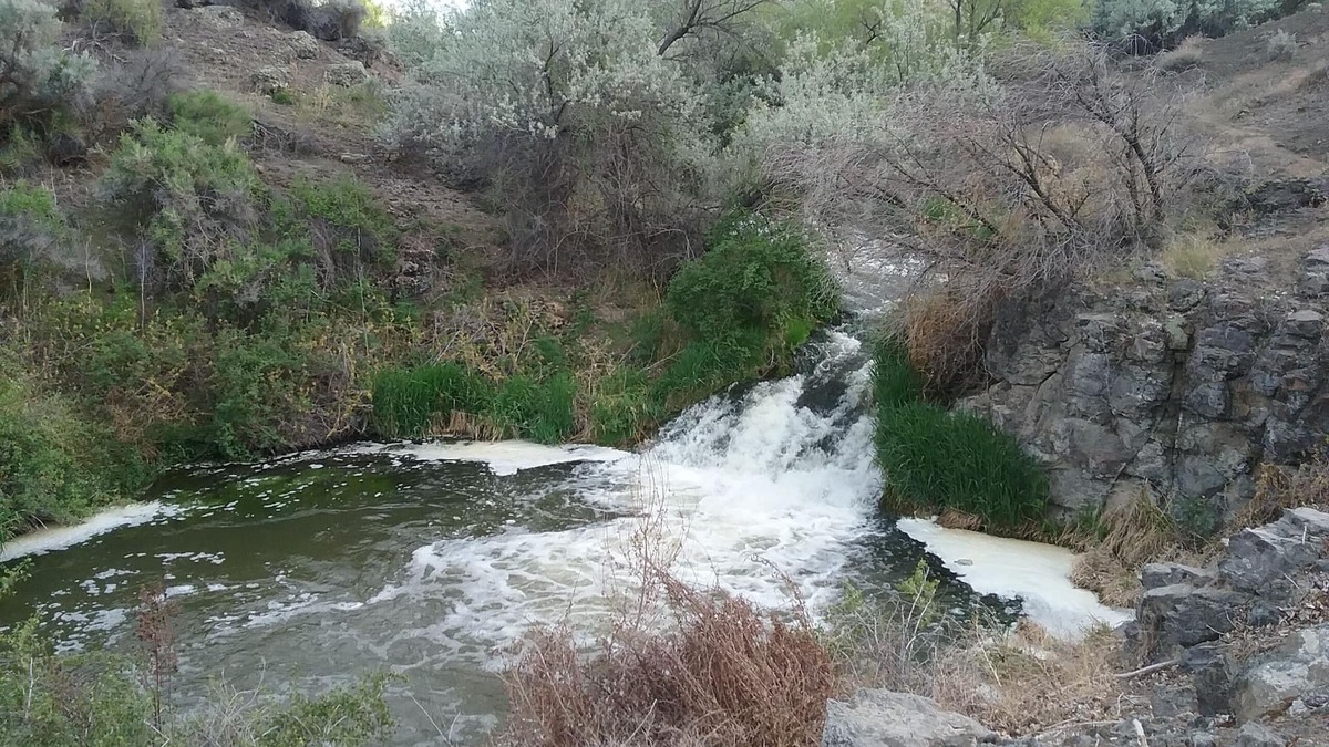 Buhl House | Snake R. Canyon/Creekside Retreat. Near 1000 Springs/Hot Springs/Balanced Rock