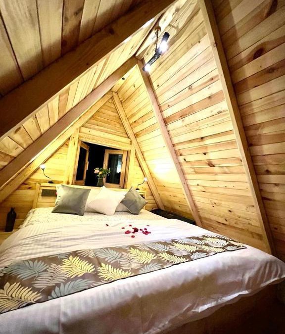 Kaul House | Snovika (The Organic Farm)