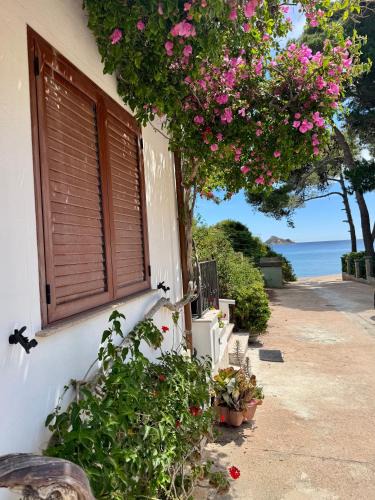 Tancau Sul Mare Apartment | So close to the sea