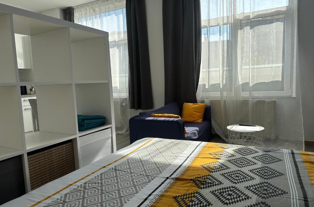Charleroi Apartment | Sofieflat - Wallifornie