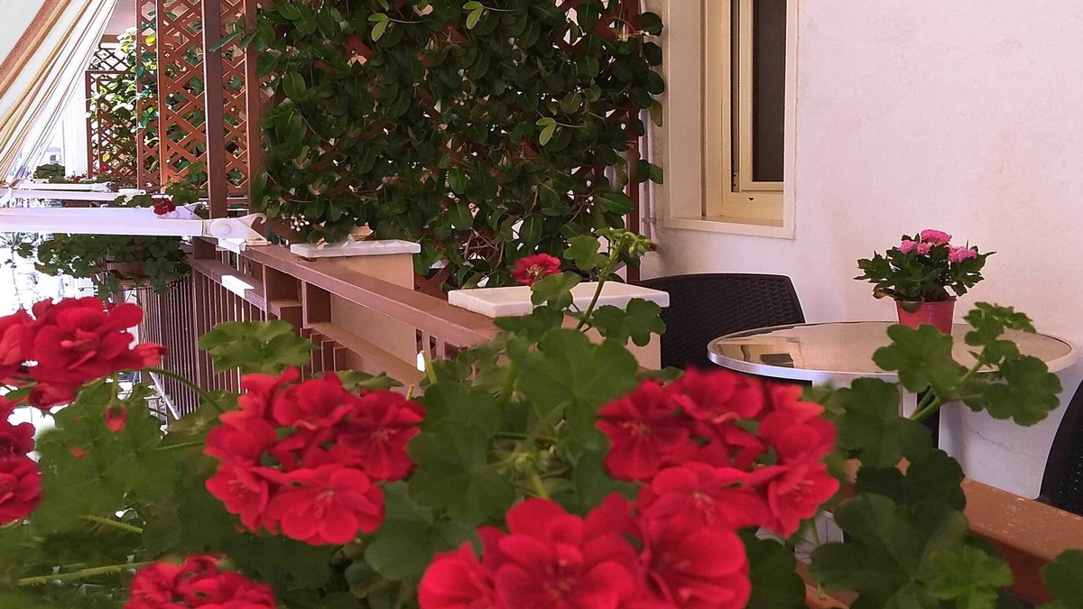 Milazzo Bed & Breakfast | Solaris B&B