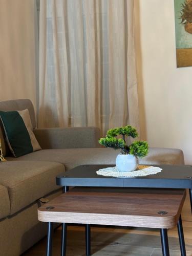 Livorno Apartment | Sole Apartment Livorno